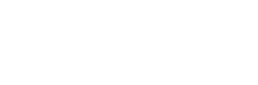 light logo