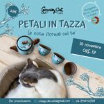 Petali In tazza! 1