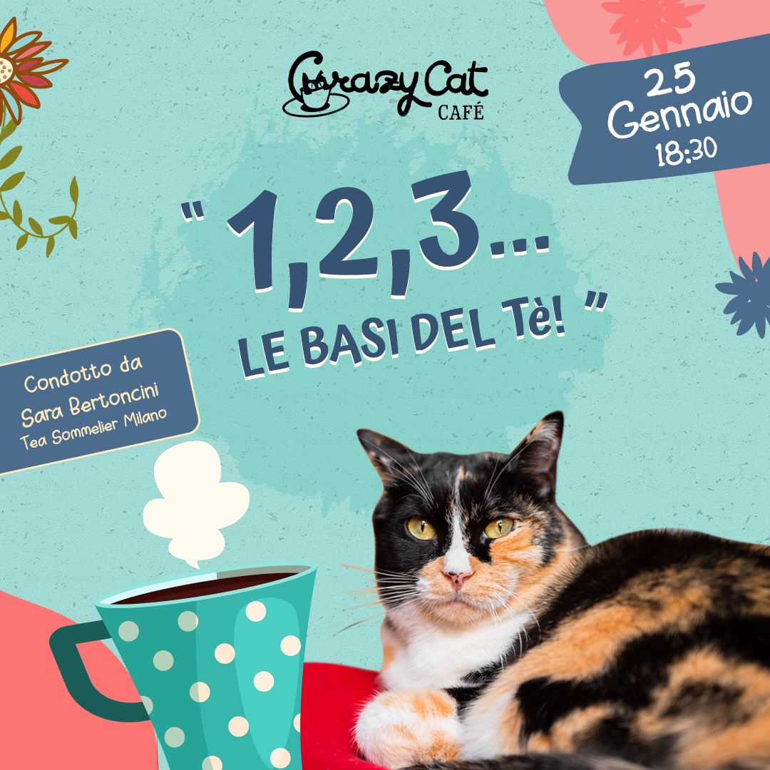 1 2 3... le basi del té