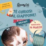 Due serate alla scoperta dei Tè Curiosi del Giappone