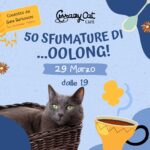 50 sfumature di Oolong!