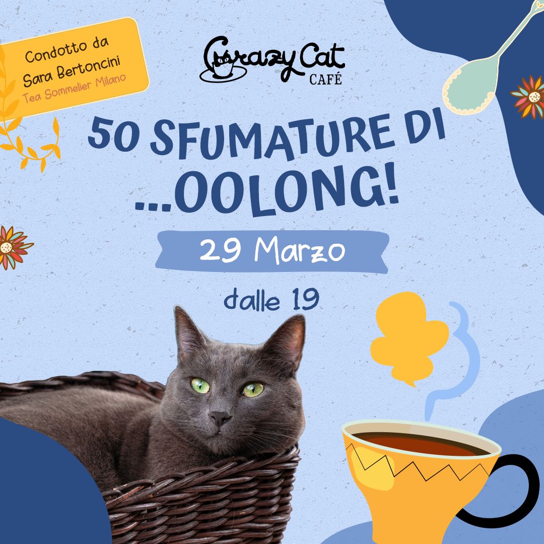 50 sfumature di Oolong!