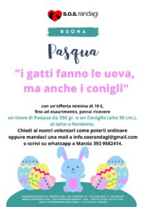 SOS randagi: Aperitivo Solidale! 1