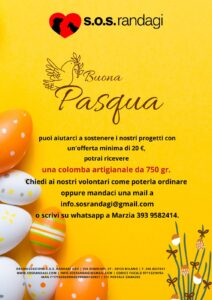 SOS randagi: Aperitivo Solidale! 2