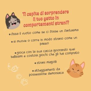 Che Gatto Fai?? 1