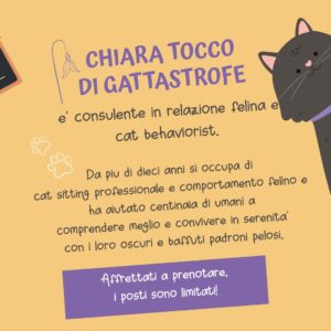 Che Gatto Fai?? 2