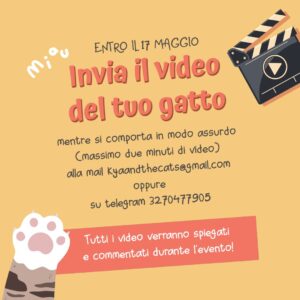 Che Gatto Fai?? 3