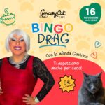 Bingo Drag Novembre