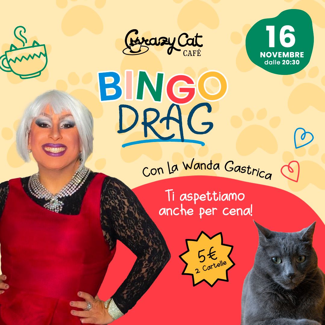 Bingo Drag Novembre