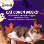CAT COVEN WEEKS