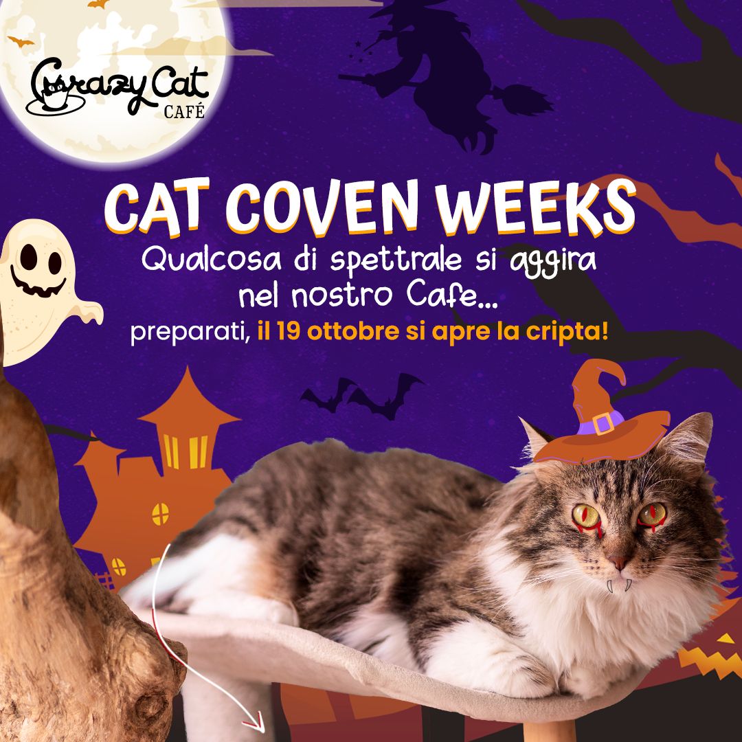 CAT COVEN WEEKS
