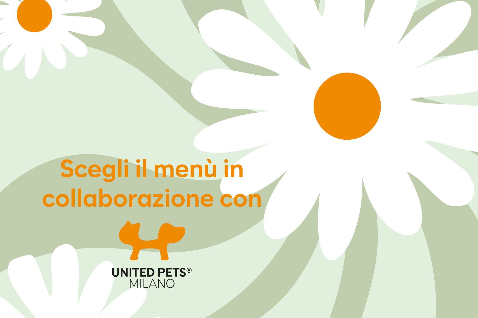 Arriva la primavera con Margareth di United Pets