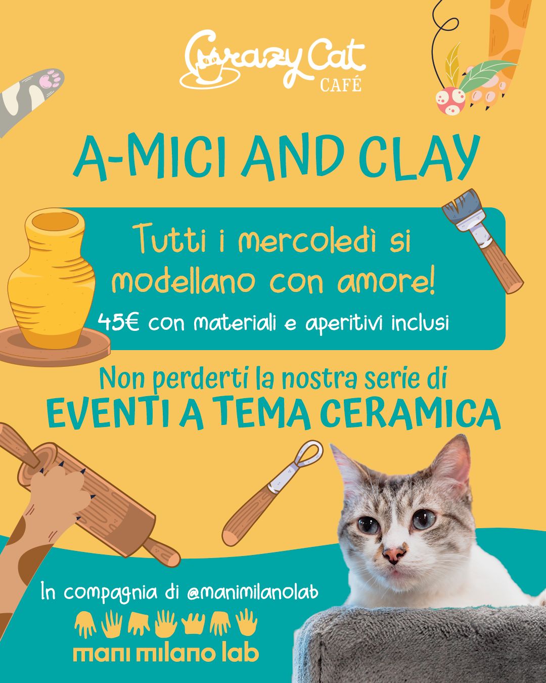 Gattini & Clay: i mercoledì da non perdere!