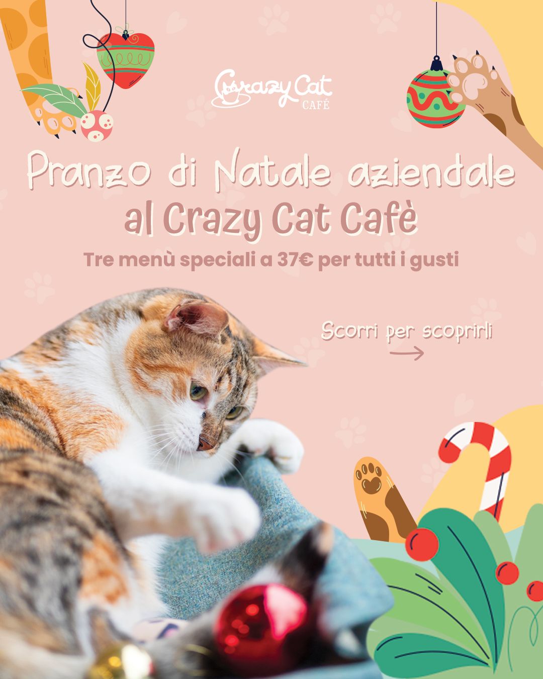Pranzo delle Feste