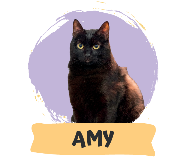 Amy Winehouse