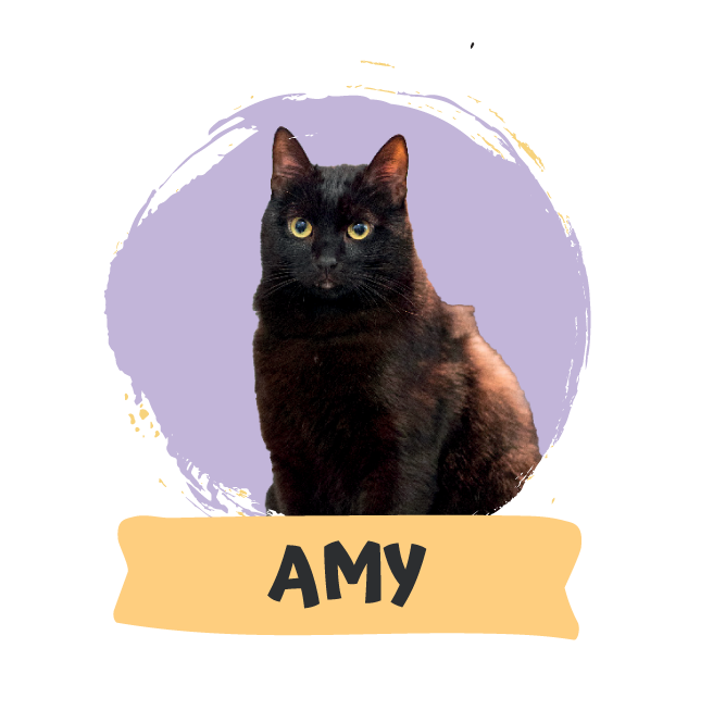 Amy Winehouse