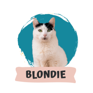 Blondie