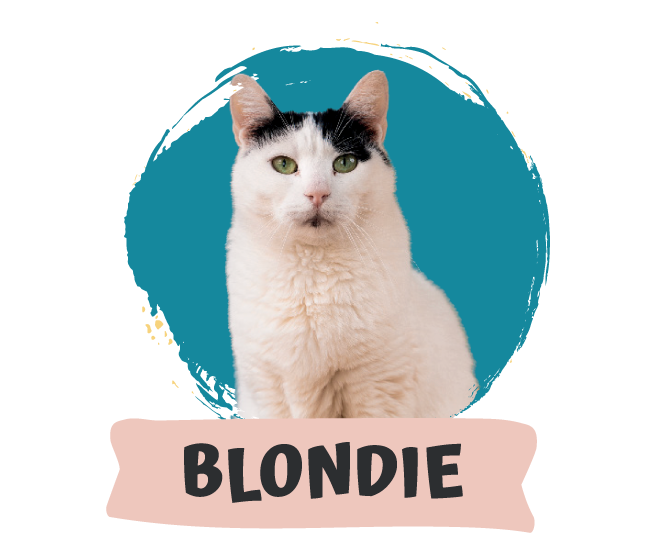 Blondie