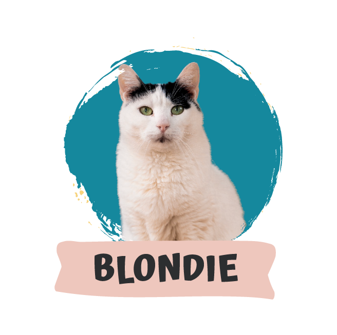 Blondie