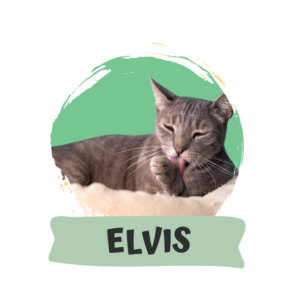 Elvis Presley