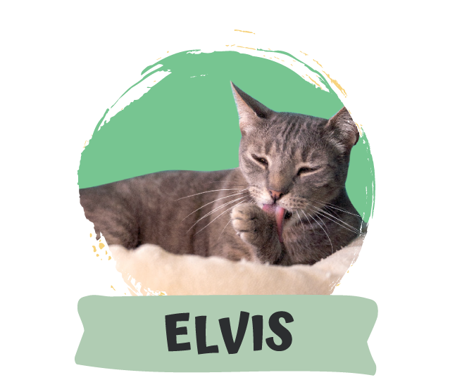 Elvis Presley
