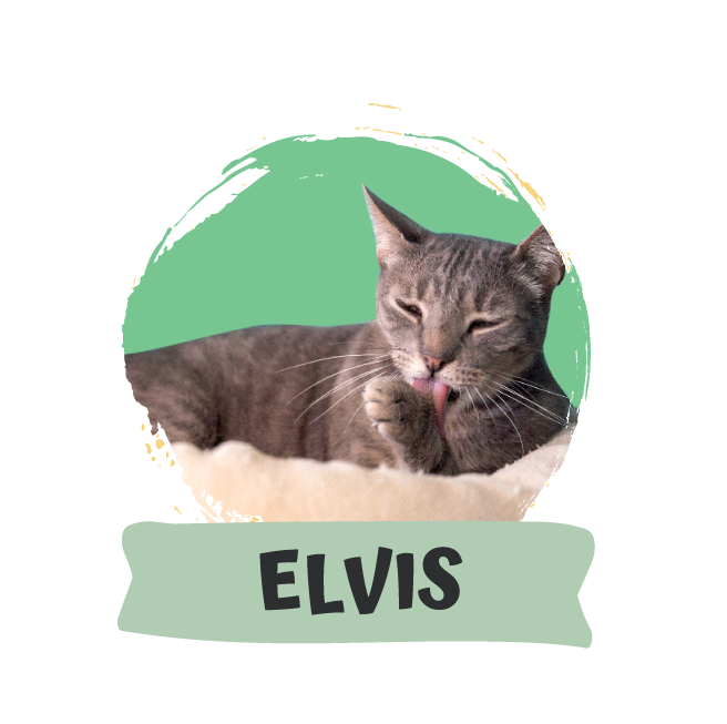 Elvis Presley