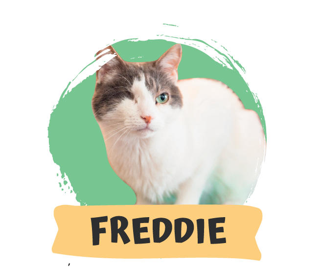 Freddie Mercury