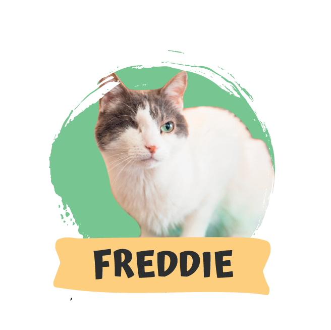 Freddie Mercury