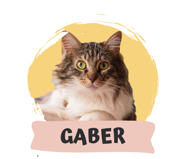 Giorgio Gaber