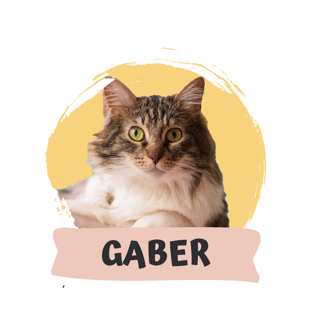 Giorgio Gaber